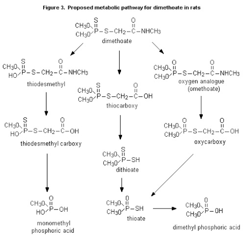 ACUTE TOXICITY OF DIMITHOATE ON HAEMATOLOGY OF MUS MUSCULUS (LINN.)