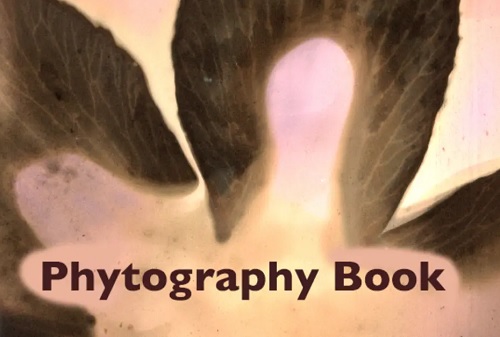 PHYTOGRAPHY AN INTRODUCTORY STUDY