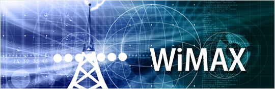 EVALUATION OF THE SERVICE QUALITY IN WIRELESS NETWORKS BASED ON WIMAX TECHNOLOGY
