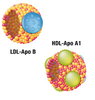 ROLE OF SOLUBLE LR11 AND APOLIPOPROTEINS A1&B IN THE PROGRESSION OF DIABETIC RETINOPATHY