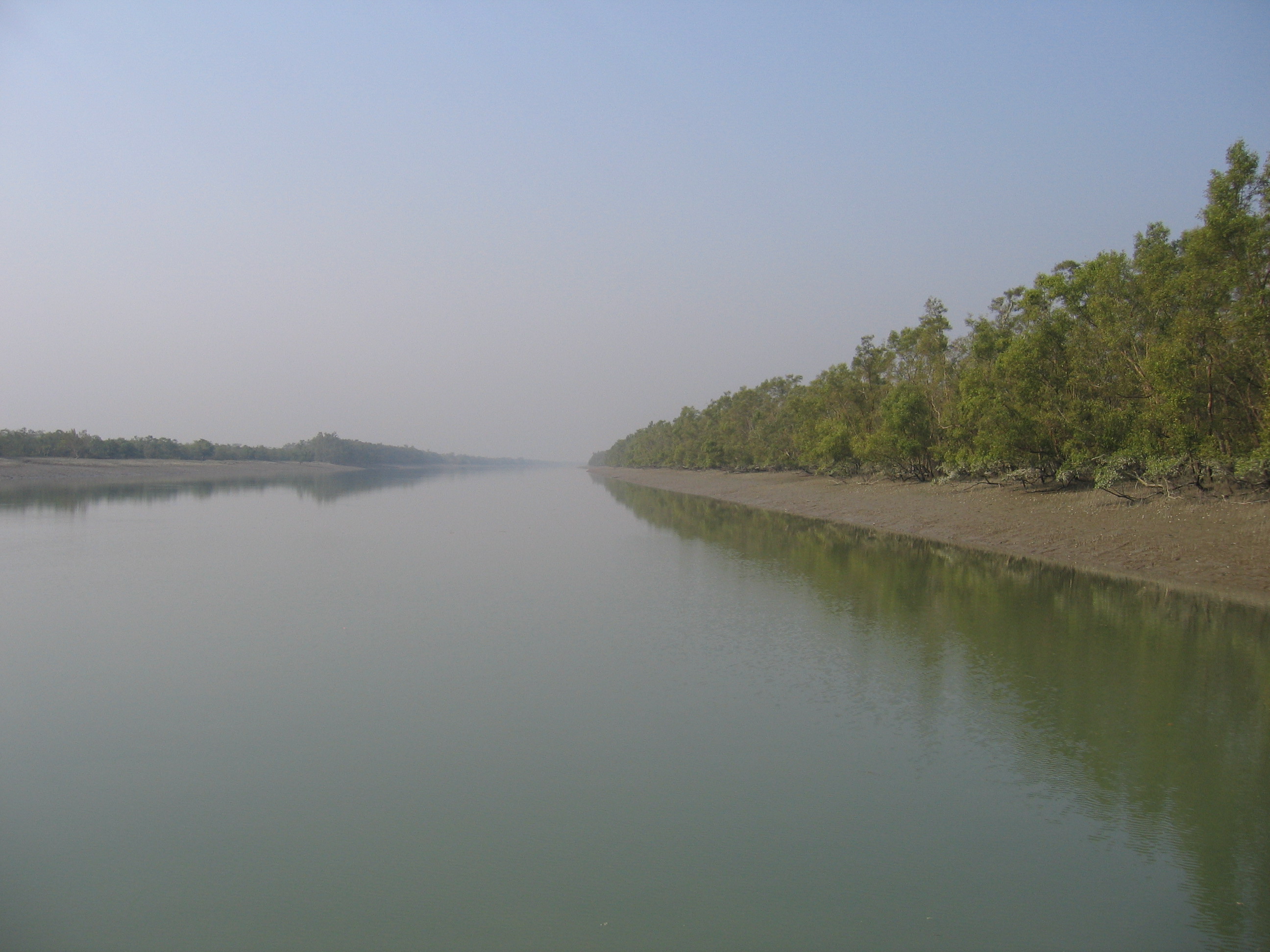 INTEGRATING CHANNEL CUT-OFF AND CULTURAL LANDSCAPE:  A CASE STUDY OF CHAKUNDI VILLAGE AMIDST THE CHAR- CHAKUNDI CUT-OFF OF RIVER BHAGIRATHI, WEST BENGAL