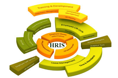 IMPACT OF HUMAN RESOURCE INFORMATION SYSTEM (HRIS)  ON THE EMPLOYEES OF BUSINESS PROCESS OUTSOURCING (BPO)  SECTOR AND HUMAN RESOURCE (HR) CONSULTANCIES –WITH      SPECIAL REFERENCE TO JAIPUR