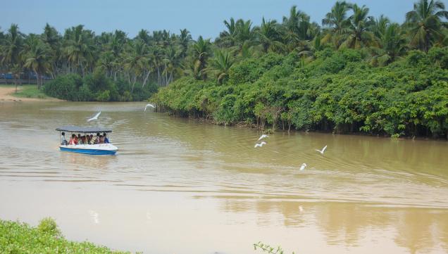TOURISM PROMOTION OF BACKWATERS AT POOVAR