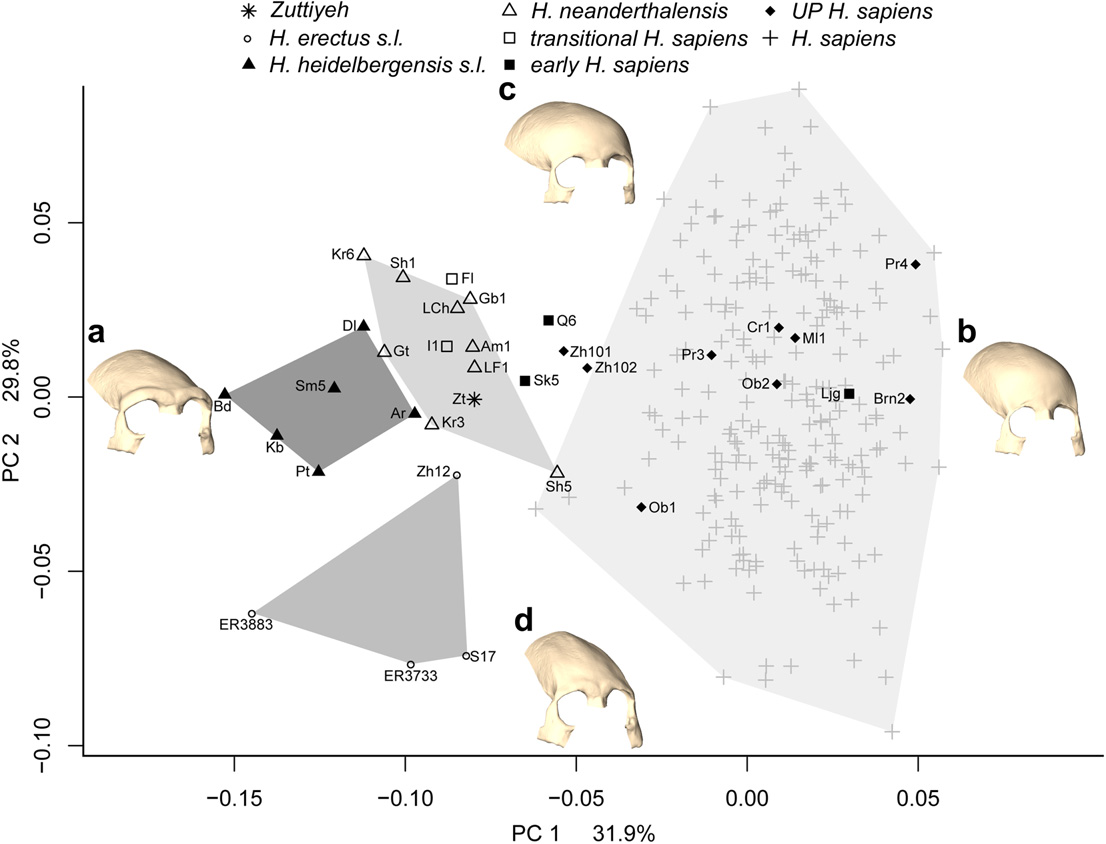 MORPHOMETRIC ANALYSIS: A GIS APPROACH