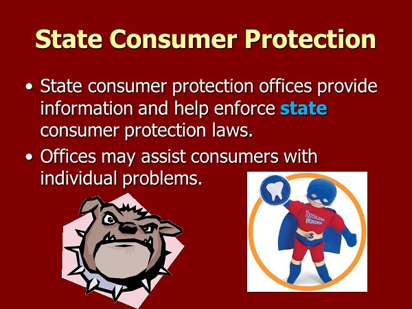 ROLE OF THE STATE IN CONSUMER PROTECTION