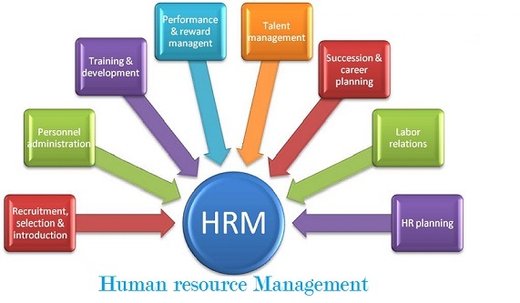 HUMAN RESOURCE MANAGEMENT IN INDIA