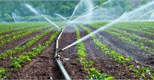 WATER MANAGEMENT & AGRICULTURE