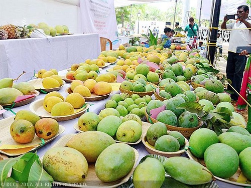 TRENDS IN THE EXPORT OF MANGO  FROM INDIA