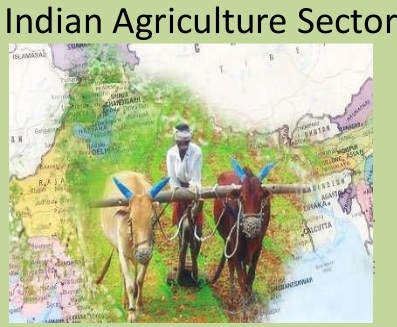 INDIAS AGRICULTURAL SECTOR: CONSTRAINTS  AND MEASURES 