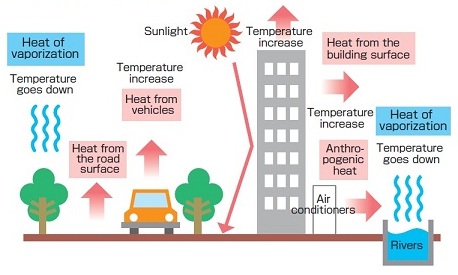 ENVIRONMENTAL ISSUES OF URBAN HEAT ISLAND:  A CASE STUDY OF RANCHI CITY