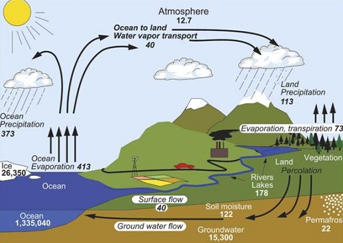 BIOGEOCHEMICHAL - HYDROLOGICAL CYCLE & ITS MODELING