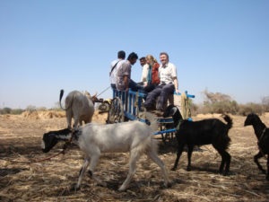 DEVELOPMENT SCHEME FOR RURAL TOURISM IN SOLAPUR DISTRICT SPECIAL REFERENCE MANGALWEDHA TALUKA