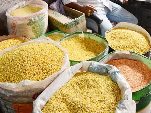 THE ECONOMICS OF TUR CULTIVATION THE ECONOMICS OF TUR CULTIVATION