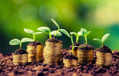 ROLE OF FDIs IN AGRICULTURE SECTOR FOR PROMOTING INDIAN ECONOMY