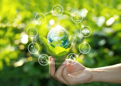 THE IDEA OF SUSTAINABLE ENERGY