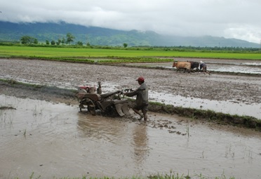 A STUDY ON DEVELOPMENT OF RURAL AREAS THROUGH INDUSTRIES IN INDIA