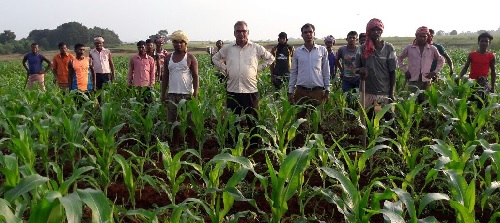 RECENT DEVELOPMENTS IN AGRICULTURAL INFORMATION  RESOURCES SYSTEMS.