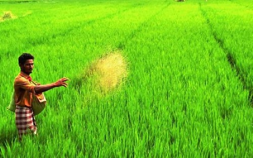 USE OF MULTI MEDIA IN AGRICULTURAL