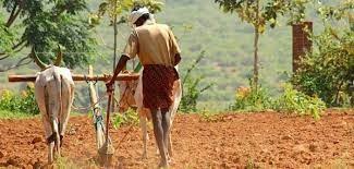 PROGRESS AND PERFORMANCE OF KISAN  CREDIT CARD SCHEME IN INDIA