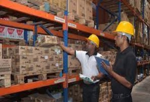 PREPARATION OF STOCK VERIFICATION REPORT