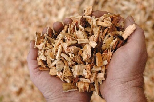 YIELD EVALUATION OF PADDY STRAW MUSHROOMS (VOLVARIELLA SPP.)  ON VARIOUS LIGNOCELLULOSIC WASTES