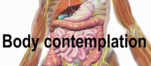 A CONTEMPLATON ON THE BODY
