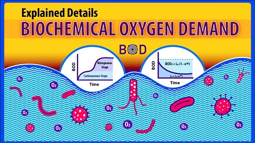 “STUDY OF BIOLOGICAL OXYGEN DEMAND AT THE BISAIDHA DAM DISTRICT - SIDHI (M.P.)” “STUDY OF BIOLOGICAL OXYGEN DEMAND AT THE BISAIDHA DAM DISTRICT - SIDHI (M.P.)”