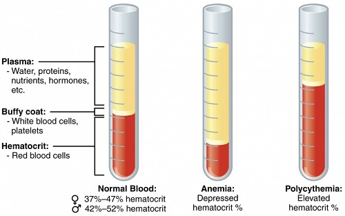 PACKED CELL VOLUME (PCV) & MEASUREMENT OF BlOOD INDICES PACKED CELL VOLUME (PCV) & MEASUREMENT OF BlOOD INDICES