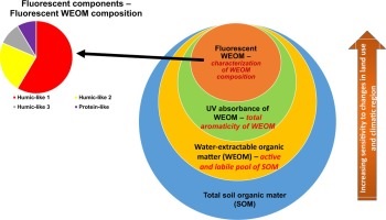 FLUORESCENCE SPECTROSCOPY IS PERFECT TOOL FOR DETECTION  OF POLLUTED SAMPLES IN THE FIELD OF AGRONOMY