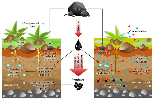 THE SYNERGISTIC INFLUENCE OF BIOFERTILIZATION AND COMPOSTING  ON BIO-REMEDIATING CADMIUM POLLUTED SOIL CULTIVATED  WITH MAIZE PLANTS