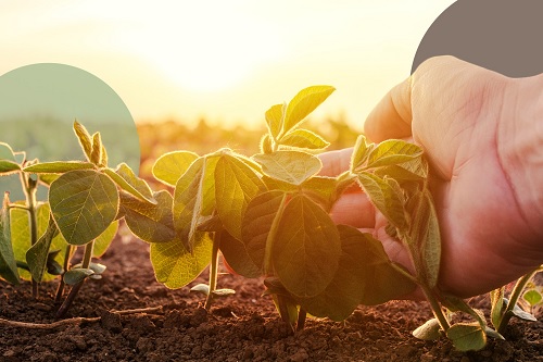BIODIVERSITY VIS A VIS AGRICULTURE