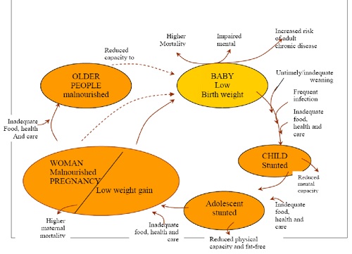 HUNGER AND MALNUTRITION IN INDIA: ITS CAUSES AND IMPACT