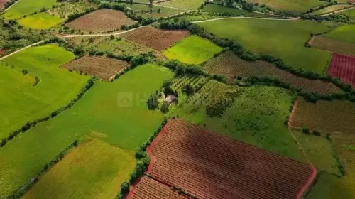 LAND TENURE SYSTEM: KAUL-ISTAWA IN SUBHA AHMEDNAGAR