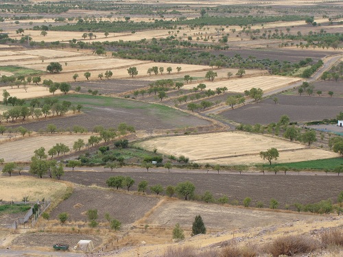 DRY FARMING AND DRY FARMING PRACTICES