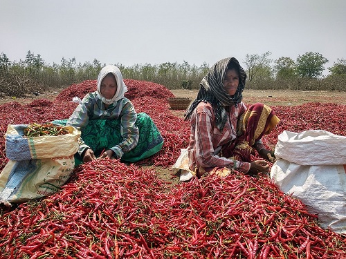 INDEBTEDNESS AMONG THE MARGINALIZED FARMERS  IN GUNTUR DISTRICT OF ANDHRA PRADESH