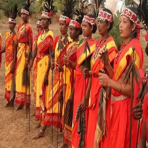 निहाली की स्वनिमिक संरचना निहाली की स्वनिमिक संरचना