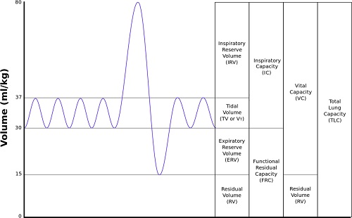 A STUDY ON MINUTE VENTILATION OF DIFFERENT SPORTS PERSONS