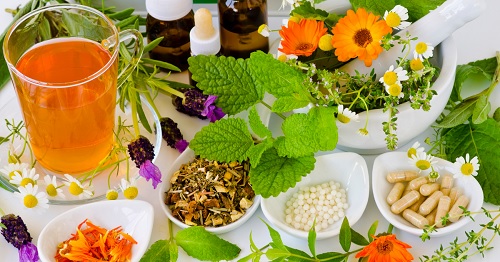 DEVELOPING NEW PLANT-BASED MEDICINES TO TREAT CANCER