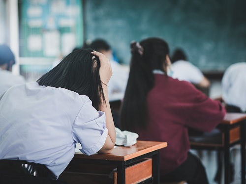 THE ANXIETY OF ENGLISH AMONG INDIAN STUDENTS:  CAUSES, EFFECTS, AND COPING STRATEGIES