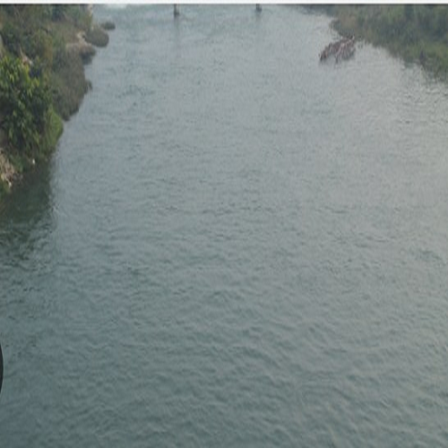 “STUDIES ON HYDROBIOLOGICAL PARAMETERS OF BEEHAR  RIVER REWA (M.P.)”