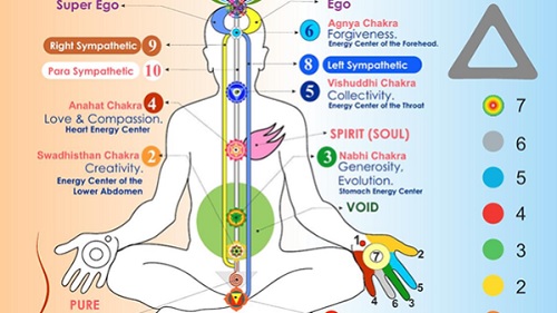 EFFECT OF SAHAJA YOGA ON PHYSIOLOGICAL VARIABLES ON MALE STUDENTS  OF JIWAJI UNIVERSITY, GWALIOR