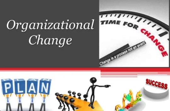ORGANISATIONAL CHANGE: A CONCEPTUAL FRAMEWORK