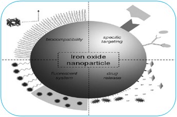 MAGNETIC CHARACTERIZATION OF IRON OXIDE NANOPARTICLES