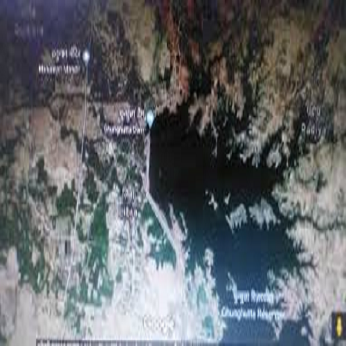 ASSESSMENT OF PHYTOPLANKTON DIVERSITY OF GHUNGHUTTA  DAM SURGUJA DISTRICT (C.G)