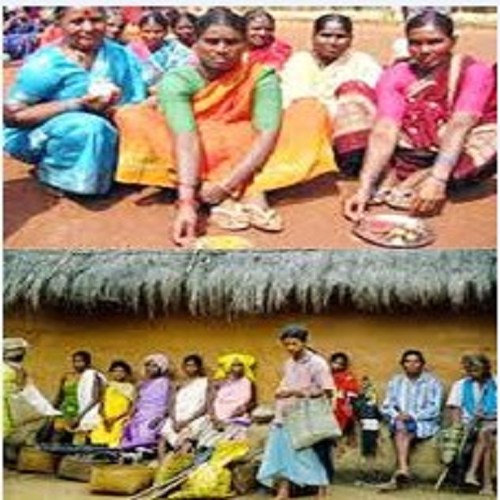 STATUS OF SCHEDULED TRIBES IN ANDHRA PRADESH