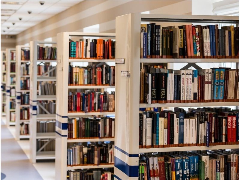 CAREER PROSPECTS AND CHALLENGES OF LIBRARY AND INFORMATION SCIENCE EDUCATORS IN INDIA