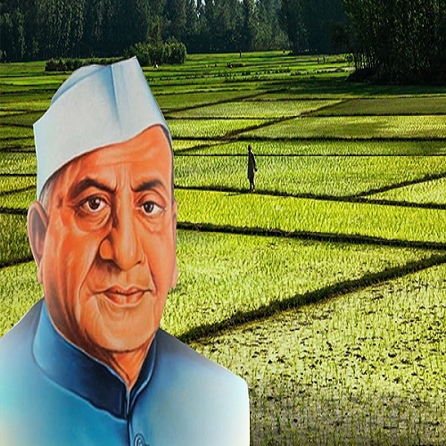 DR. PANJABRAO DESHMUKH'S CONTRIBUTION TO  THE AGRICULTURAL SECTOR