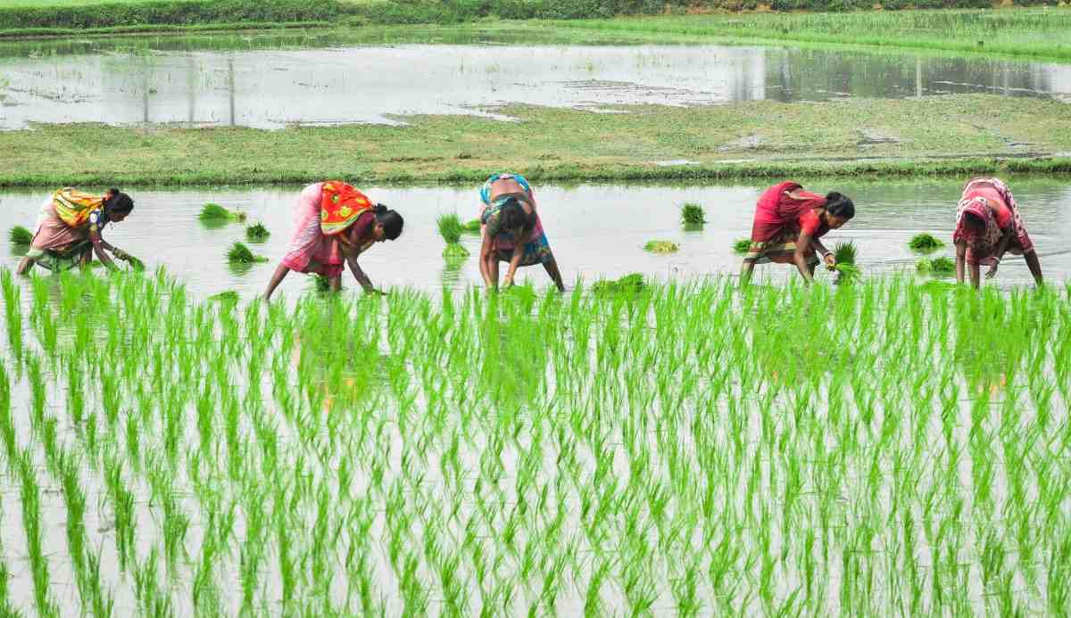 PERFORMANCE OF AGRICULTURE SECTOR IN ANDHRA PRADESH