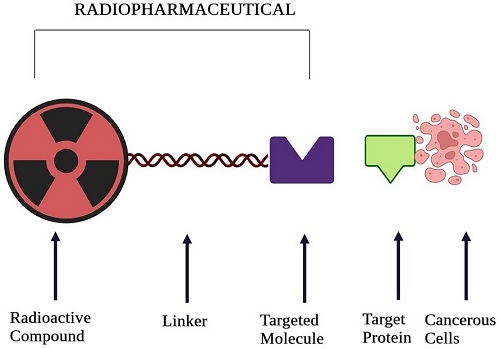 CUTTING-EDGE INSTRUMENTS IN TARGET-INSPIRED RADIOCHEMISTRY  FOR NUCLEAR MEDICINE