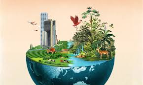 LOSS OF BIODIVERSITY AND ITS IMPACT ON ECOSYSTEM STABILITY